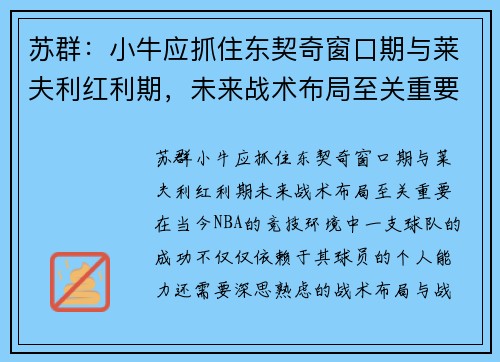 苏群：小牛应抓住东契奇窗口期与莱夫利红利期，未来战术布局至关重要